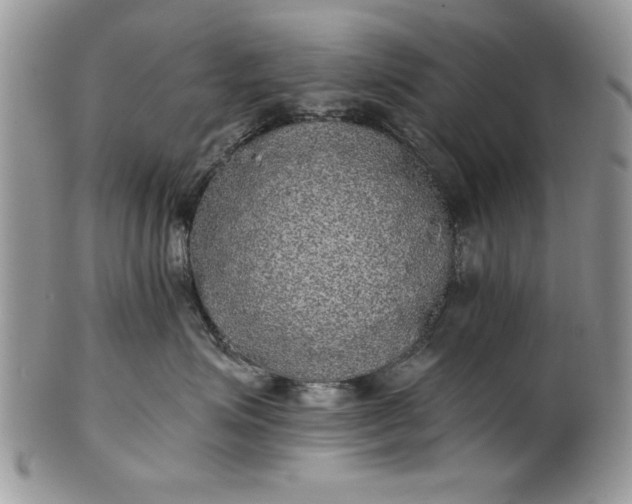 X0000101950623200808011047