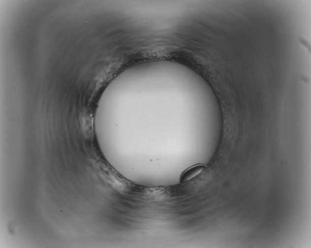 X0000101950624200808011047