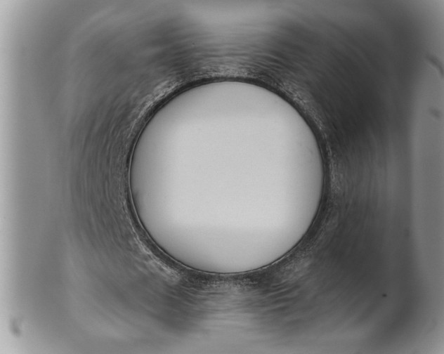 X0000101950625200808011046