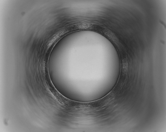 X0000101950626200808011046