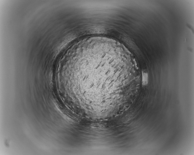 X0000101950627200808011046