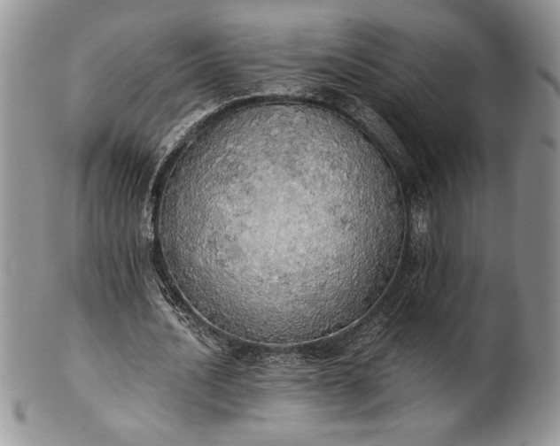 X0000101950628200808011046