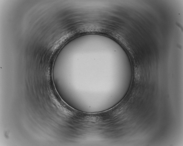 X0000101950629200808011046