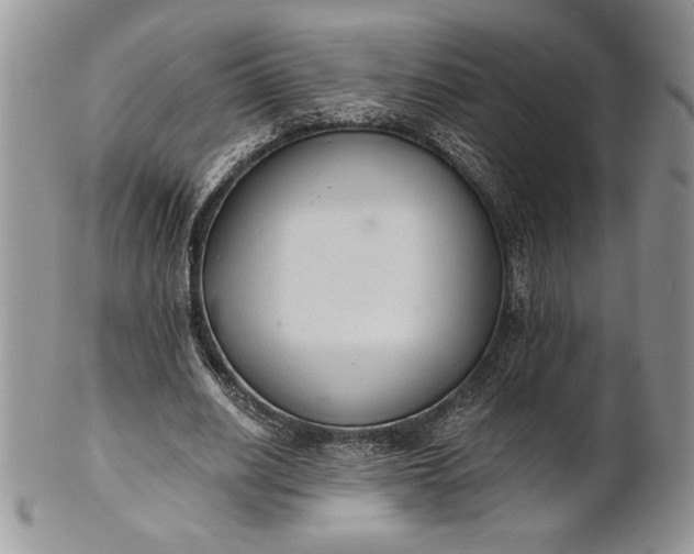 X0000101950630200808011046