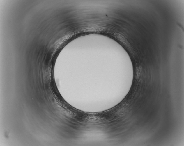 X0000101950632200808011046