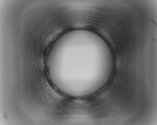 X0000101950633200808011046