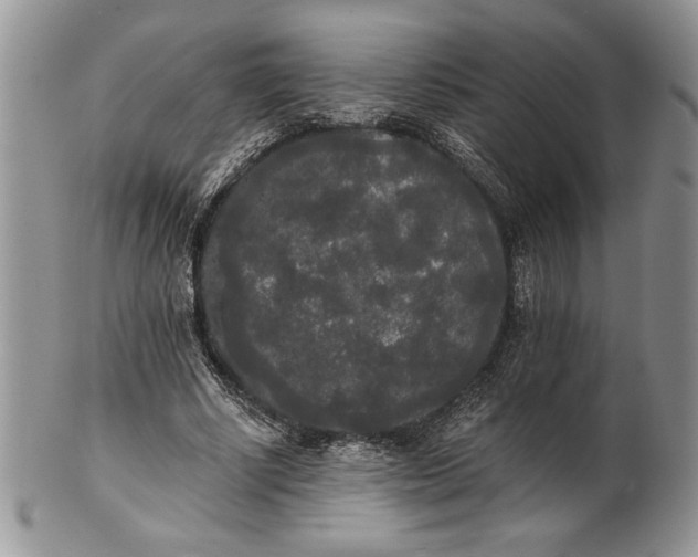 X0000101950634200808011046