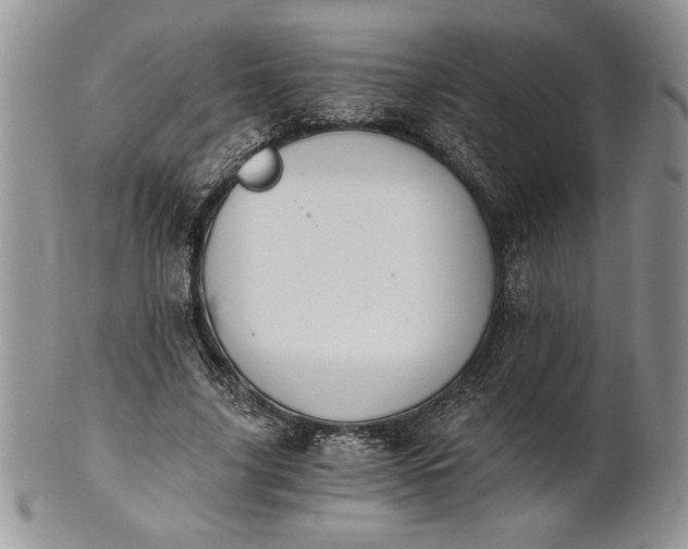 X0000101950635200808011046