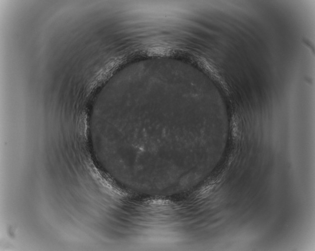 X0000101950637200808011046