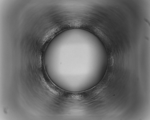 X0000101950638200808011046