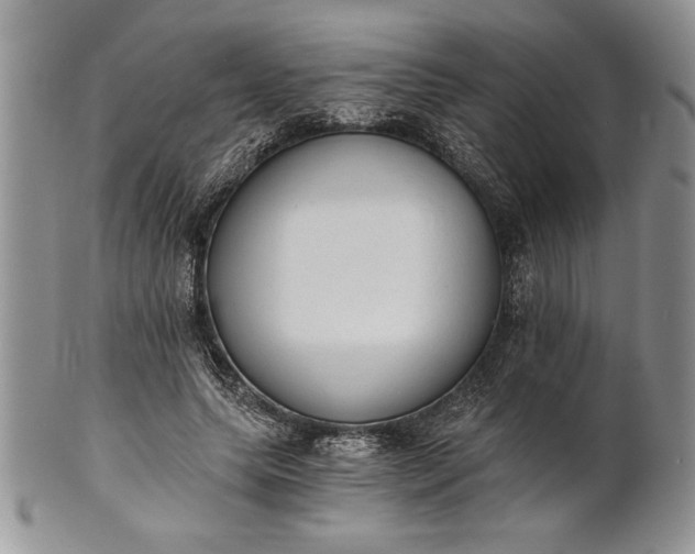 X0000101950639200808011046