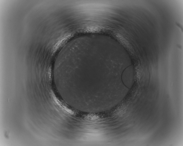 X0000101950640200808011046