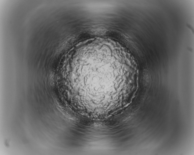 X0000101950641200808011046