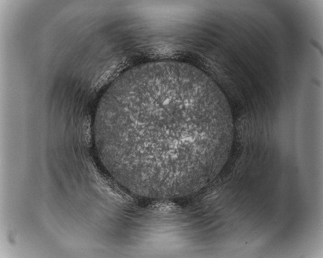 X0000101950642200808011046