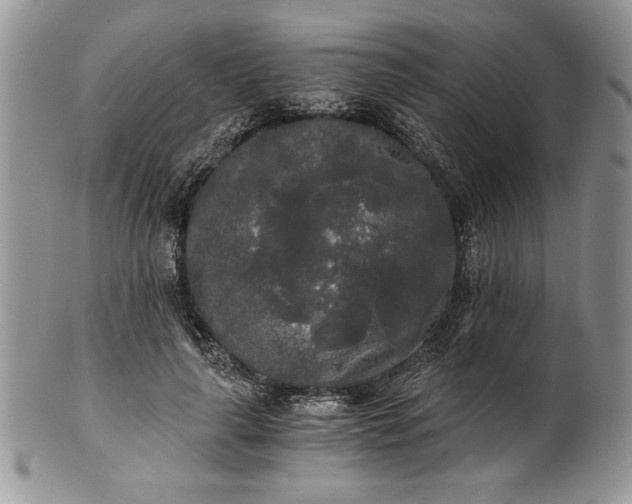 X0000101950643200808011046