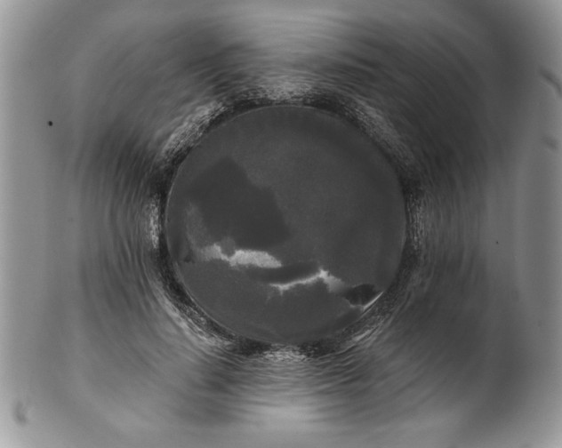 X0000101950644200808011046