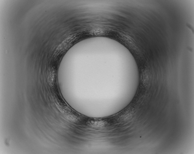 X0000101950645200808011046