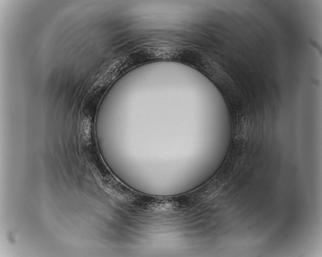 X0000101950646200808011046