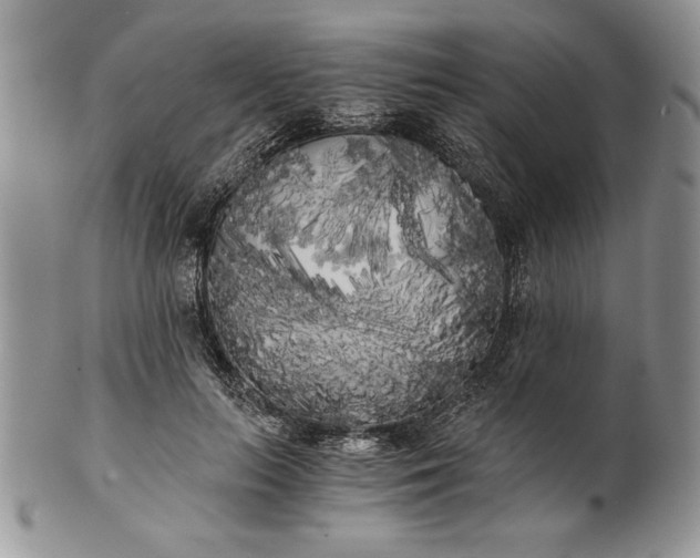 X0000101950647200808011046