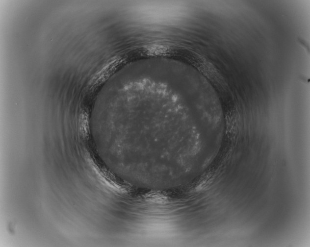 X0000101950648200808011046