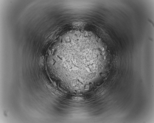 X0000101950649200808011046