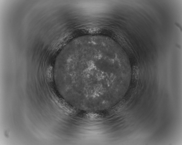 X0000101950650200808011046