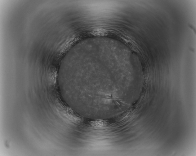 X0000101950652200808011046