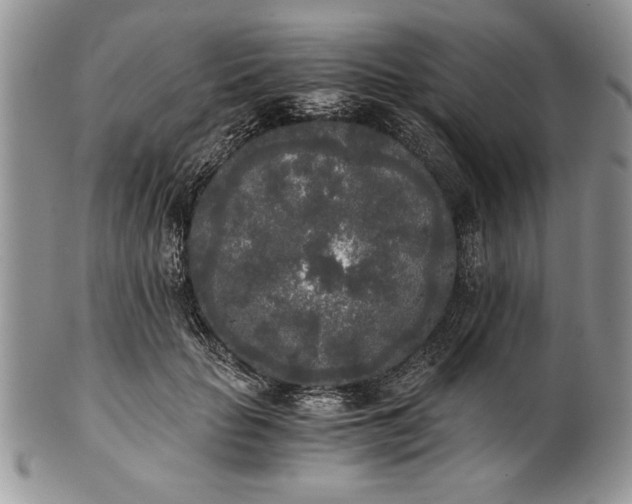 X0000101950653200808011046