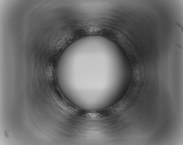 X0000101950654200808011046