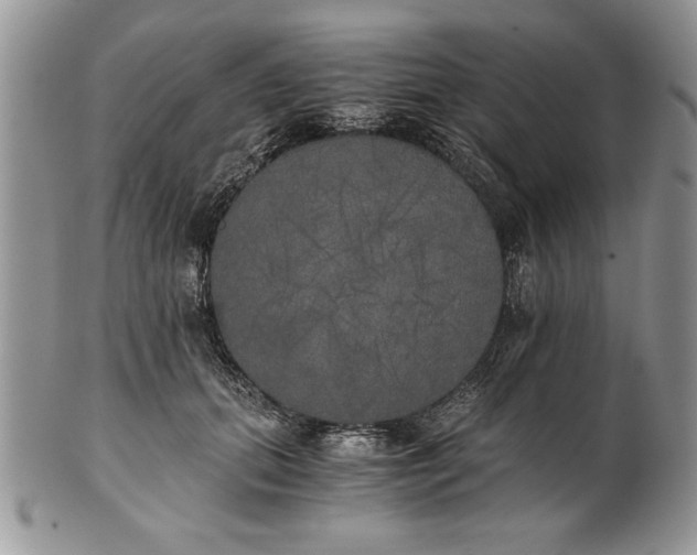 X0000101950655200808011046