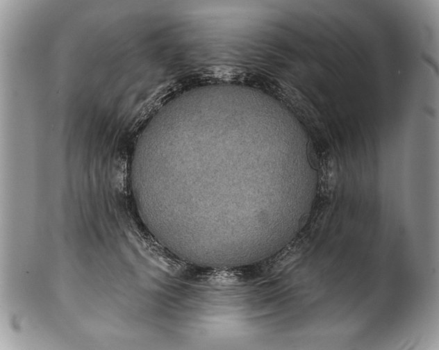 X0000101950656200808011046