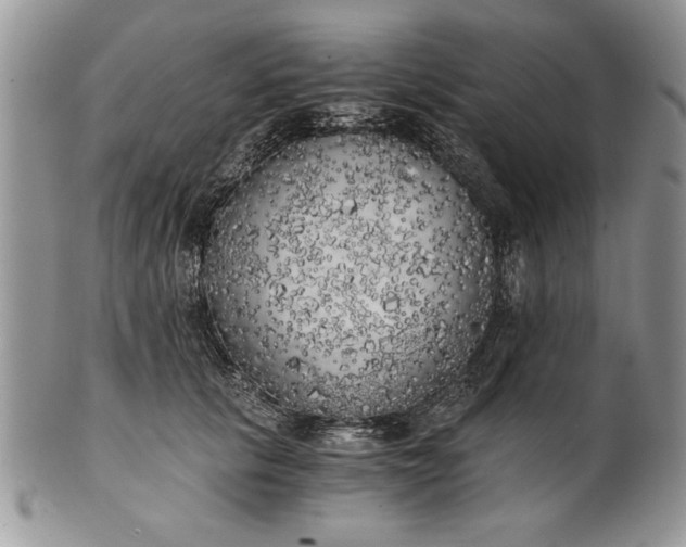 X0000101950657200808011046