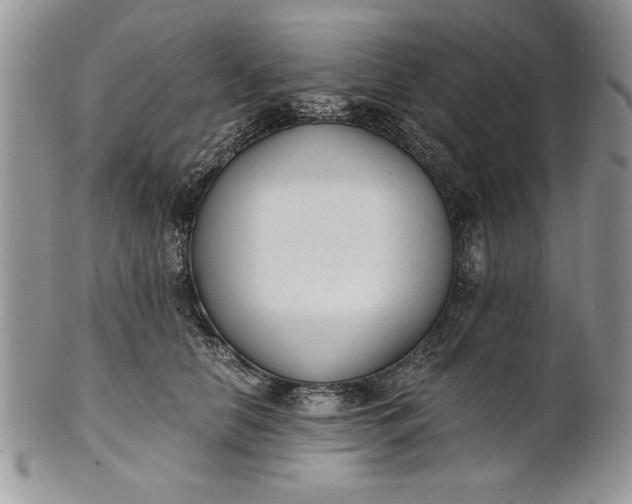 X0000101950658200808011046