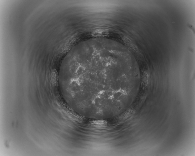 X0000101950659200808011046