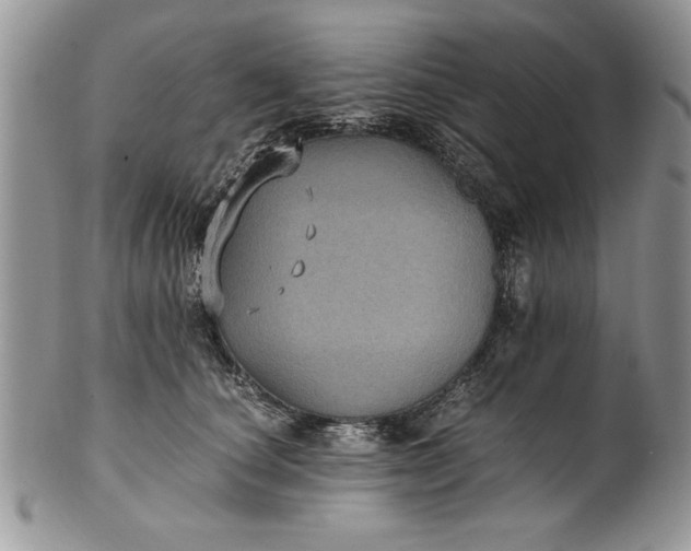 X0000101950660200808011047