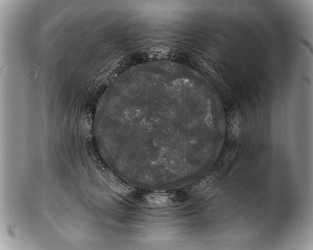 X0000101950661200808011047