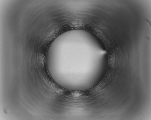 X0000101950662200808011047