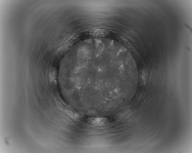 X0000101950663200808011047