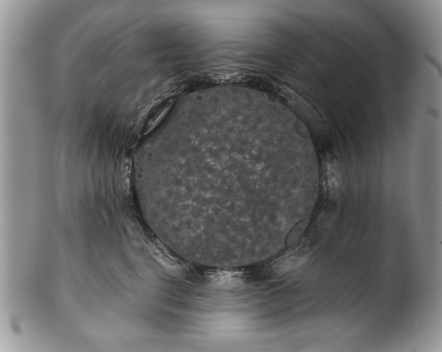 X0000101950664200808011047