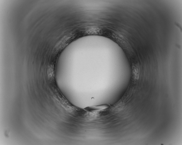 X0000101950665200808011047