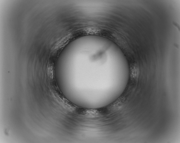 X0000101950666200808011047