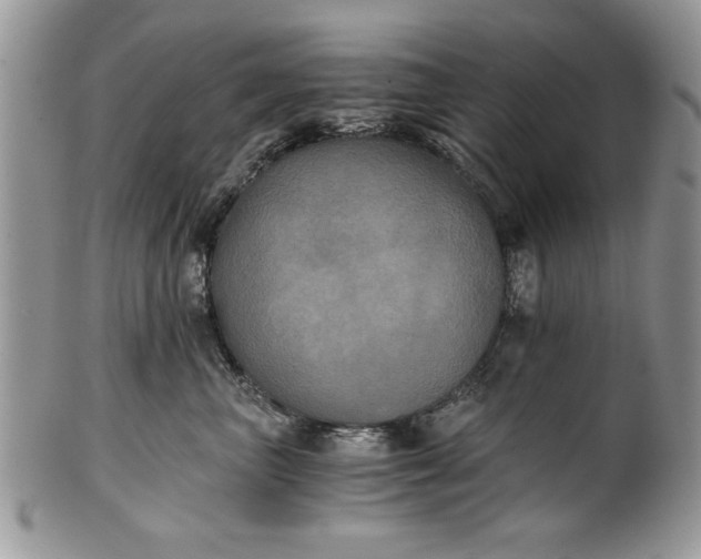 X0000101950667200808011047