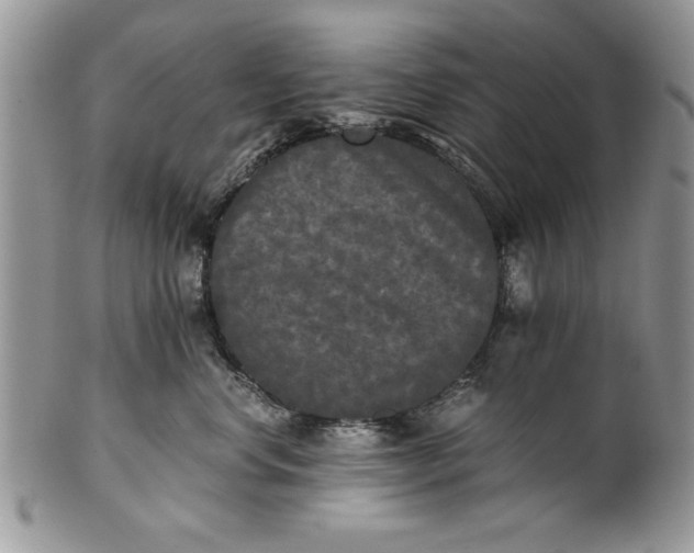 X0000101950668200808011047