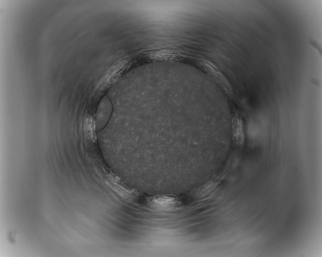 X0000101950669200808011047