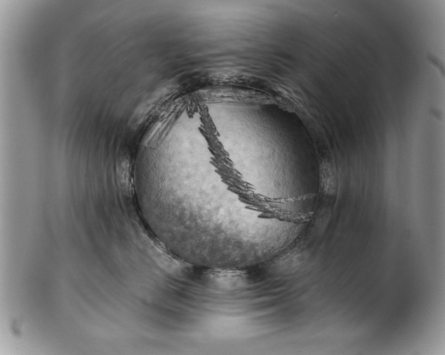 X0000101950670200808011047