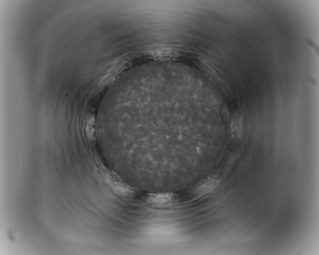 X0000101950671200808011047