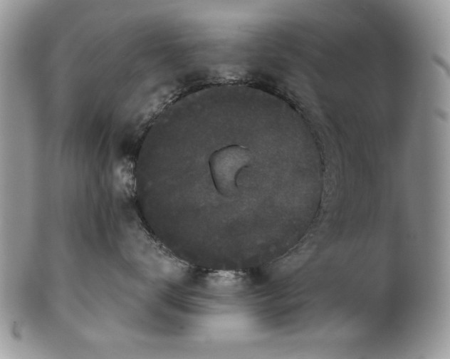 X0000101950672200808011047