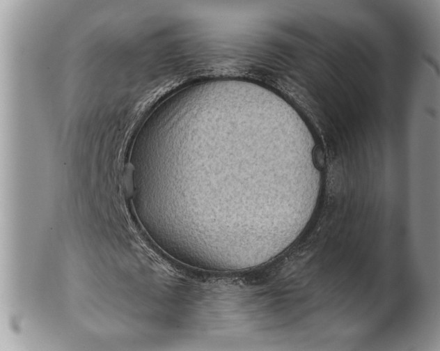 X0000101950673200808011046