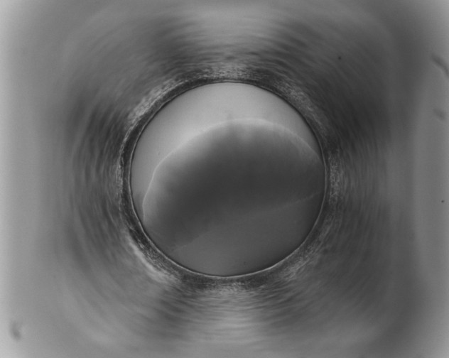 X0000101950674200808011046