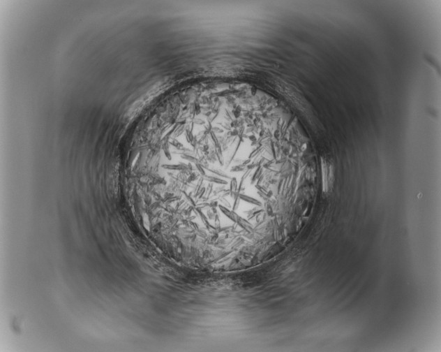 X0000101950675200808011046